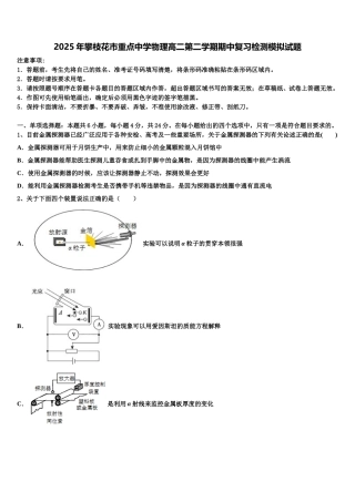 2025年攀枝花市重点中学物理高二第二学期期中复习检测模拟试题含解析