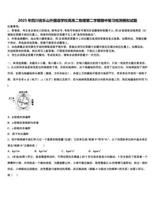 2025年四川省乐山外国语学校高高二物理第二学期期中复习检测模拟试题含解析