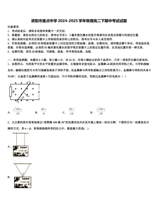 资阳市重点中学2024-2025学年物理高二下期中考试试题含解析