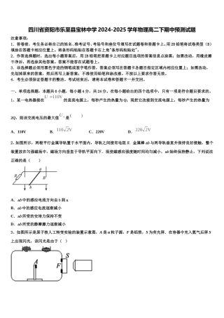 四川省资阳市乐至县宝林中学2024-2025学年物理高二下期中预测试题含解析