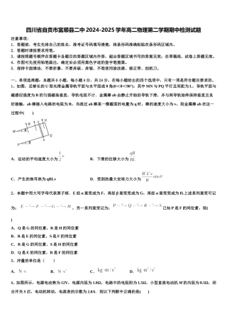 四川省自贡市富顺县二中2024-2025学年高二物理第二学期期中检测试题含解析