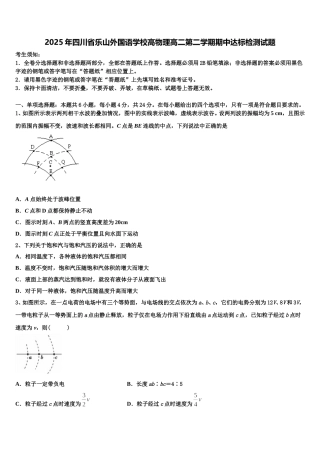 2025年四川省乐山外国语学校高物理高二第二学期期中达标检测试题含解析
