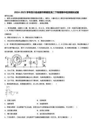 2024-2025学年四川省成都市郫都区高二下物理期中检测模拟试题含解析
