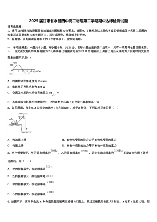 2025届甘肃省永昌四中高二物理第二学期期中达标检测试题含解析