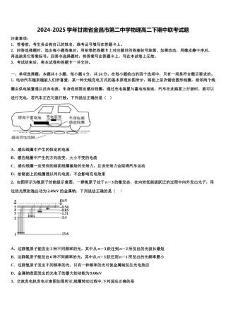 2024-2025学年甘肃省金昌市第二中学物理高二下期中联考试题含解析
