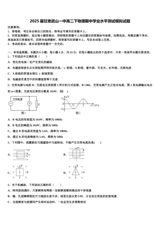2025届甘肃武山一中高二下物理期中学业水平测试模拟试题含解析