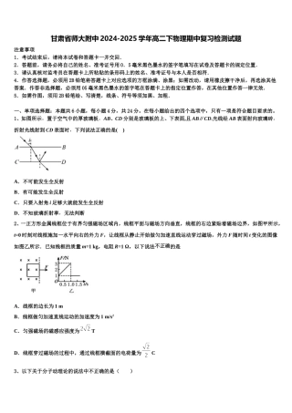 甘肃省师大附中2024-2025学年高二下物理期中复习检测试题含解析