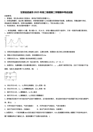 甘肃省武威市2025年高二物理第二学期期中考试试题含解析
