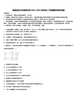 海南省东方市民族中学2024-2025学年高二下物理期中联考试题含解析