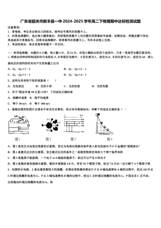 广东省韶关市新丰县一中2024-2025学年高二下物理期中达标检测试题含解析
