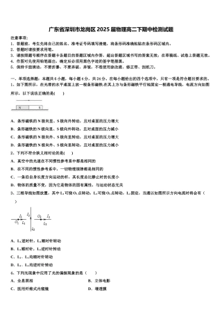广东省深圳市龙岗区2025届物理高二下期中检测试题含解析