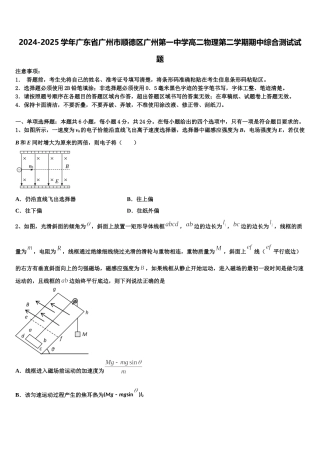 2024-2025学年广东省广州市顺德区广州第一中学高二物理第二学期期中综合测试试题含解析