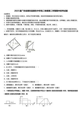 2025届广东省惠东县惠东中学高二物理第二学期期中统考试题含解析