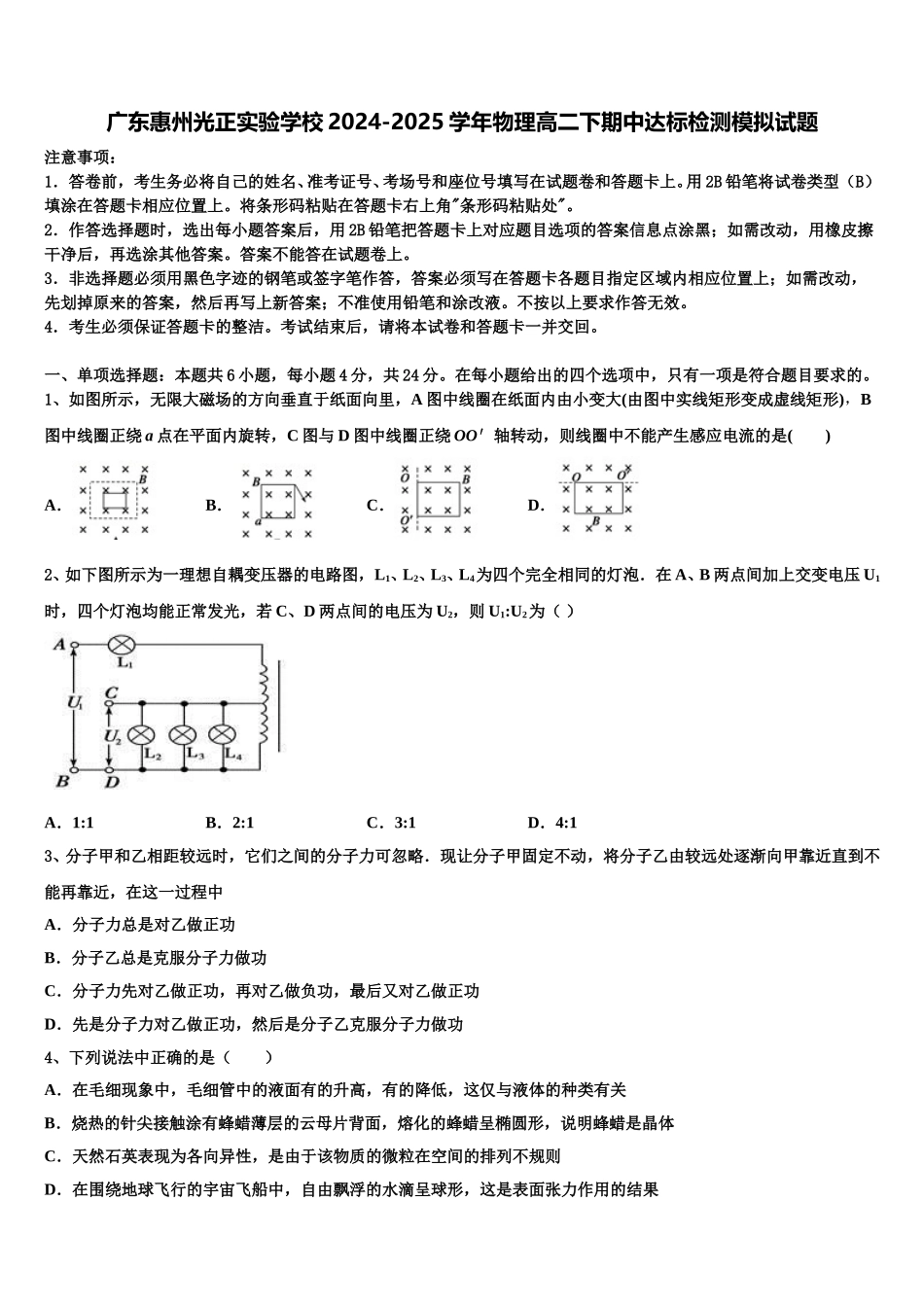 广东惠州光正实验学校2024-2025学年物理高二下期中达标检测模拟试题含解析_第1页