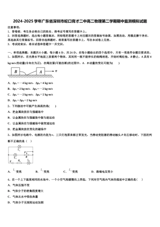 2024-2025学年广东省深圳市蛇口育才二中高二物理第二学期期中监测模拟试题含解析