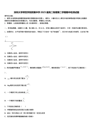 深圳大学师范学院附属中学2025届高二物理第二学期期中检测试题含解析
