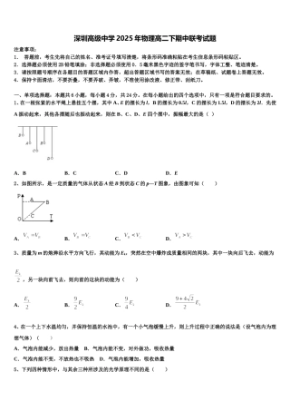 深圳高级中学2025年物理高二下期中联考试题含解析