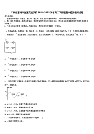 广东省惠州市光正实验学校2024-2025学年高二下物理期中检测模拟试题含解析