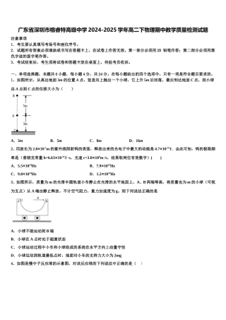 广东省深圳市格睿特高级中学2024-2025学年高二下物理期中教学质量检测试题含解析