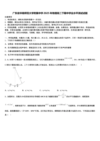 广东省华南师范大学附属中学2025年物理高二下期中学业水平测试试题含解析
