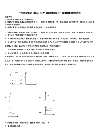 广东省深圳市2024-2025学年物理高二下期中达标检测试题含解析
