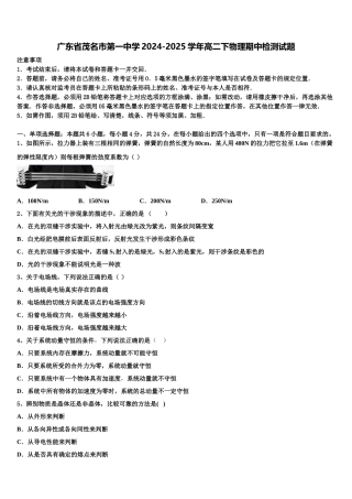 广东省茂名市第一中学2024-2025学年高二下物理期中检测试题含解析