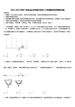 2024-2025学年广东省汕头市东厦中学高二下物理期中联考模拟试题含解析