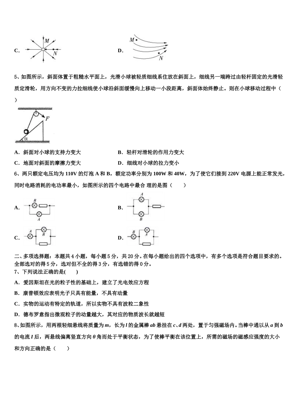 2025年广东仲元中学物理高二第二学期期中检测模拟试题含解析_第2页