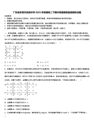 广东省东莞市实验中学2025年物理高二下期中质量跟踪监视模拟试题含解析