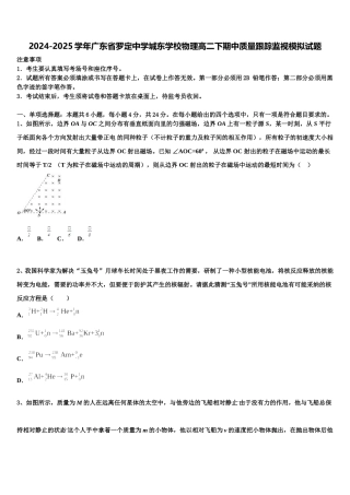 2024-2025学年广东省罗定中学城东学校物理高二下期中质量跟踪监视模拟试题含解析