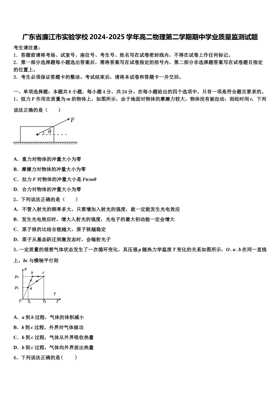 广东省廉江市实验学校2024-2025学年高二物理第二学期期中学业质量监测试题含解析_第1页