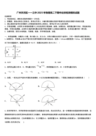 广州天河区一一三中2025年物理高二下期中达标检测模拟试题含解析