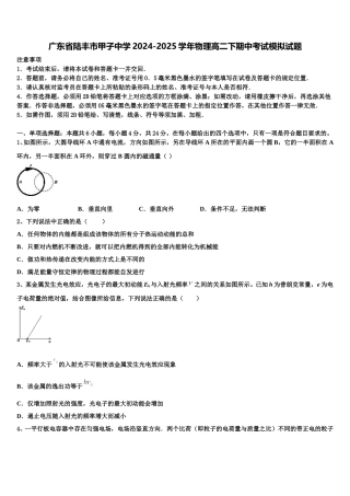 广东省陆丰市甲子中学2024-2025学年物理高二下期中考试模拟试题含解析