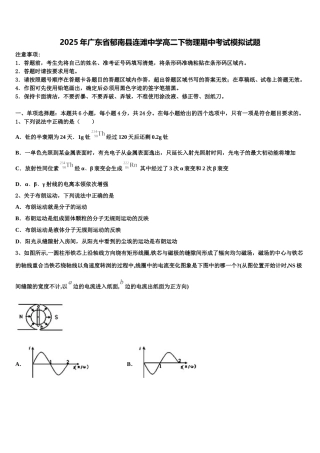2025年广东省郁南县连滩中学高二下物理期中考试模拟试题含解析
