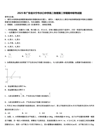 2025年广东省兴宁市水口中学高二物理第二学期期中联考试题含解析