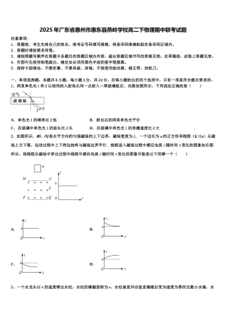 2025年广东省惠州市惠东县燕岭学校高二下物理期中联考试题含解析