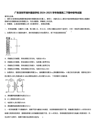 广东深圳平湖外国语学校2024-2025学年物理高二下期中联考试题含解析