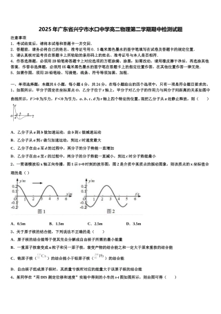 2025年广东省兴宁市水口中学高二物理第二学期期中检测试题含解析