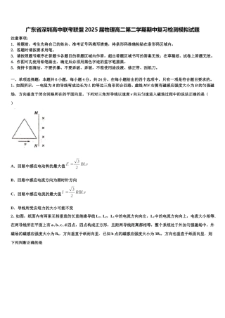 广东省深圳高中联考联盟2025届物理高二第二学期期中复习检测模拟试题含解析