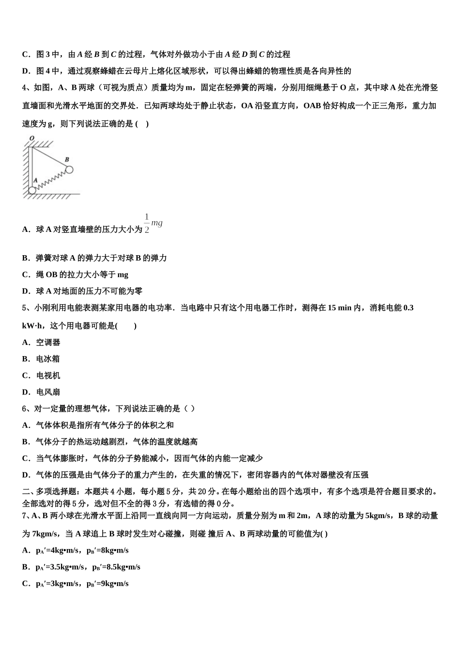 2024-2025学年广东省深圳市罗湖外语学校物理高二下期中质量跟踪监视试题含解析_第2页