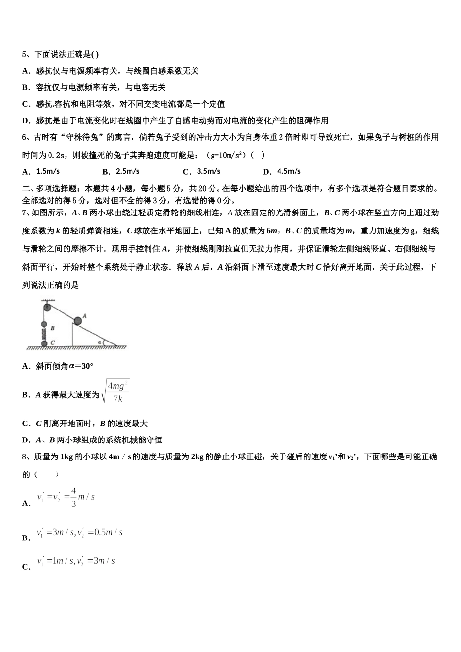 2025年广东省华南师范大学附属中学物理高二第二学期期中调研模拟试题含解析_第2页