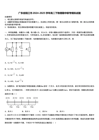 广东省阳江市2024-2025学年高二下物理期中联考模拟试题含解析