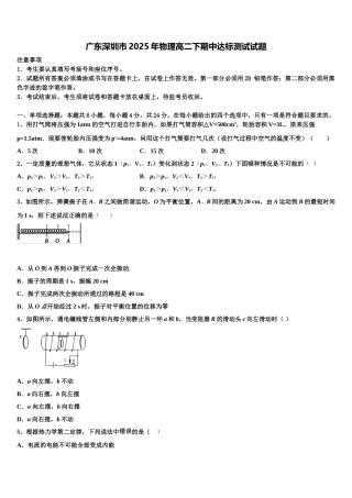 广东深圳市2025年物理高二下期中达标测试试题含解析