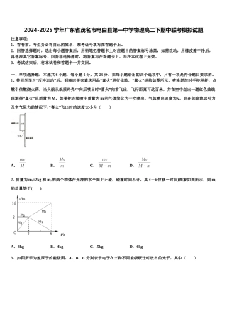 2024-2025学年广东省茂名市电白县第一中学物理高二下期中联考模拟试题含解析