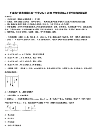 广东省广州市增城区第一中学2024-2025学年物理高二下期中综合测试试题含解析