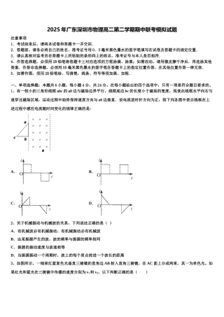 2025年广东深圳市物理高二第二学期期中联考模拟试题含解析