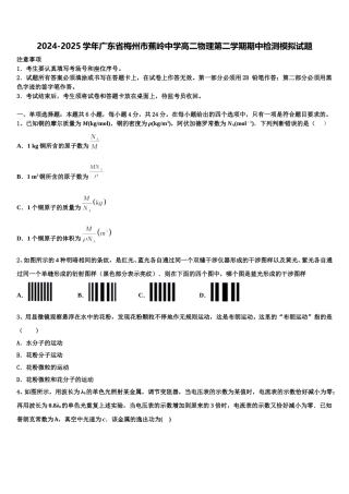 2024-2025学年广东省梅州市蕉岭中学高二物理第二学期期中检测模拟试题含解析