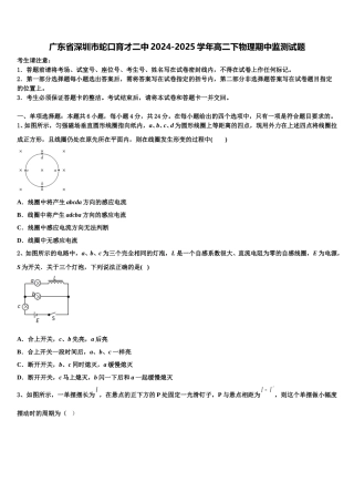 广东省深圳市蛇口育才二中2024-2025学年高二下物理期中监测试题含解析