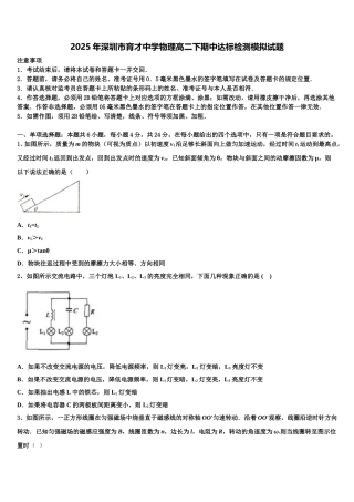 2025年深圳市育才中学物理高二下期中达标检测模拟试题含解析