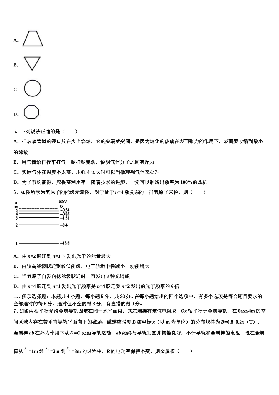 深圳市龙岗区2024-2025学年高二下物理期中考试试题含解析_第2页